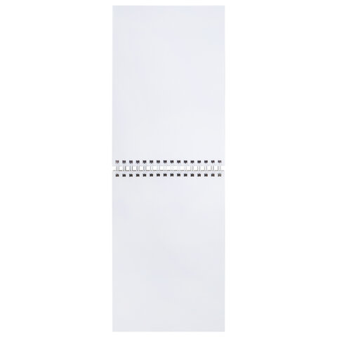 картинка Скетчбук, А5, 60 л, 100 г/м2, спираль, белый, "Аниме", BRAUBERG ART, 115061 от магазина Альфанит в Кунгуре