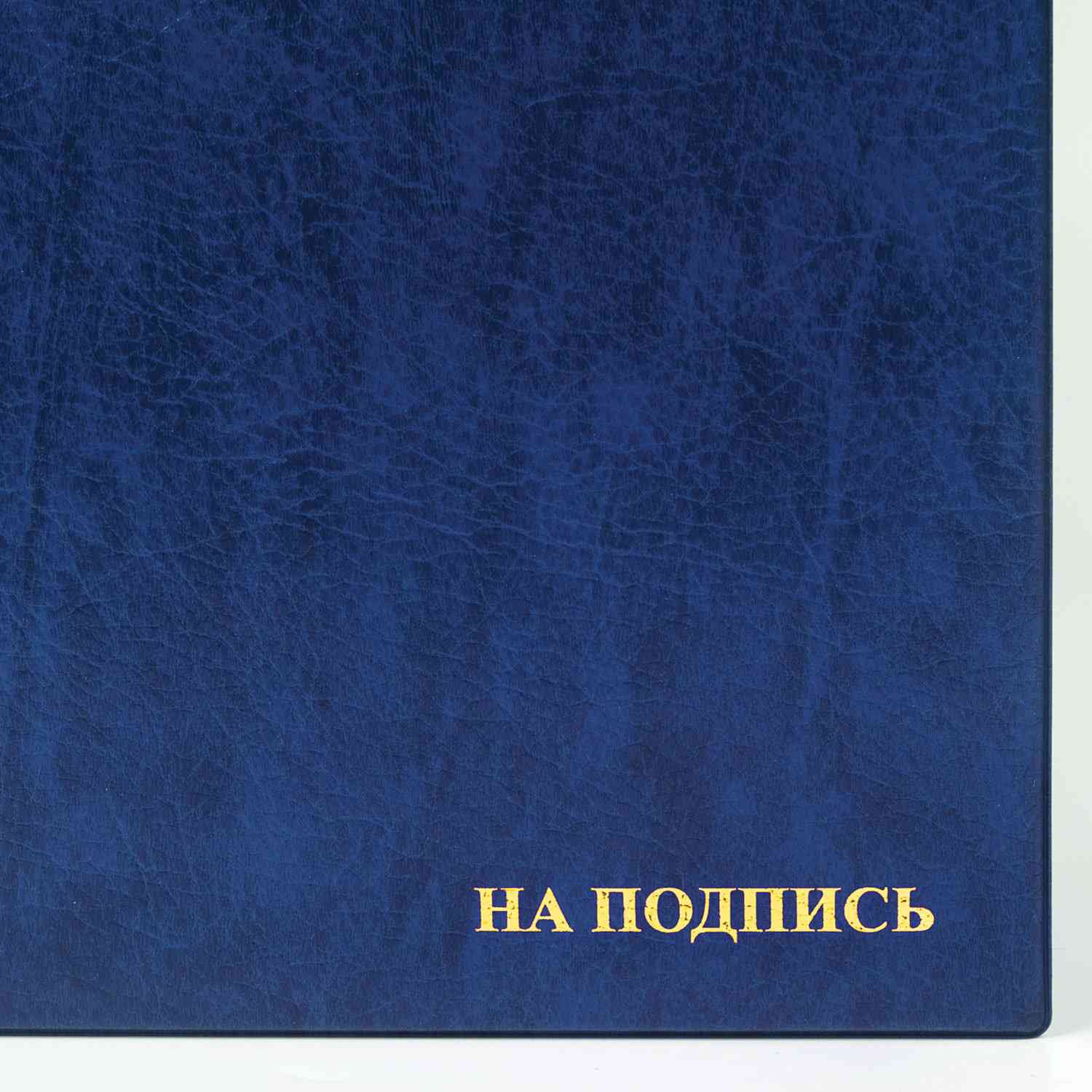картинка Папка адресная, А4, ПВХ, синий, увеличенная вместимость, "На подпись", 2032.Н-101, 124251 от магазина Альфанит в Кунгуре