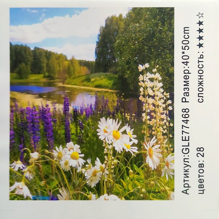 картинка Алмазная картина, 40*50 см, на подрамнике, полная выкладка, GLE77468 от магазина Альфанит в Кунгуре