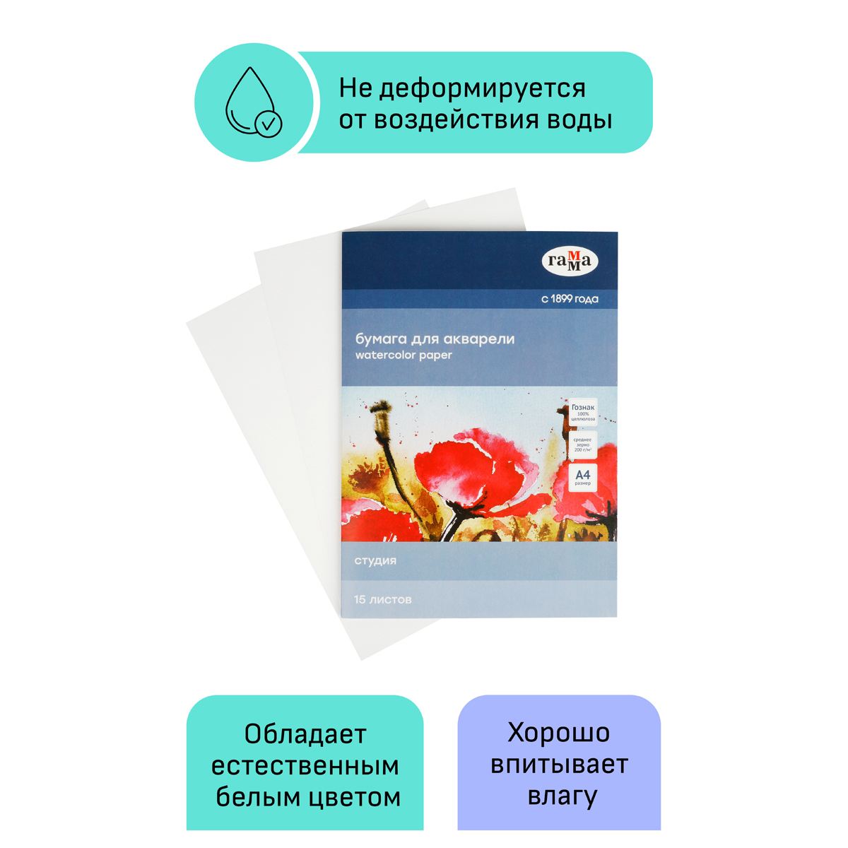 картинка Папка для акварели, А4, 15 л, 200 г/м2, среднее зерно, "Студия", Гамма, 40C03F715W от магазина Альфанит в Кунгуре