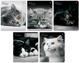 картинка Тетрадь 48 л, А5, клетка, "Кошки.Яркий взгляд", Альт, 7-48-1019 от магазина Альфанит в Кунгуре