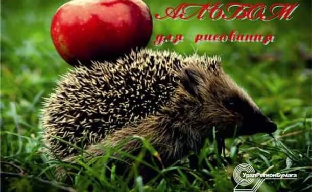 картинка Альбом для рисования, А4, 24 л, 180-200 г/м2, на завязках, ассорти, "Экзотические животные", УРБ от магазина Альфанит в Кунгуре