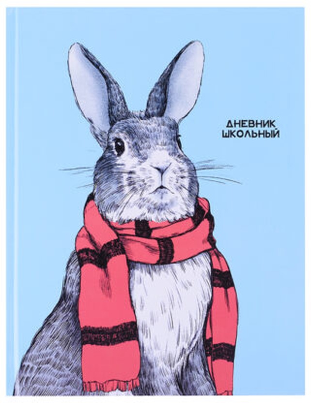 картинка Дневник 1-11 кл, 48 л, твердый, "Кролик в шарфе", Альфа-Тренд, 110026 от магазина Альфанит в Кунгуре