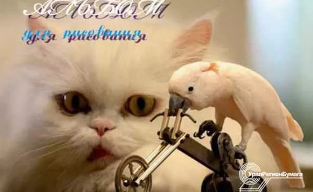 картинка Альбом для рисования, А4, 24 л, 180-200 г/м2, на завязках, ассорти, "Экзотические животные", УРБ, С16ЭА от магазина Альфанит в Кунгуре