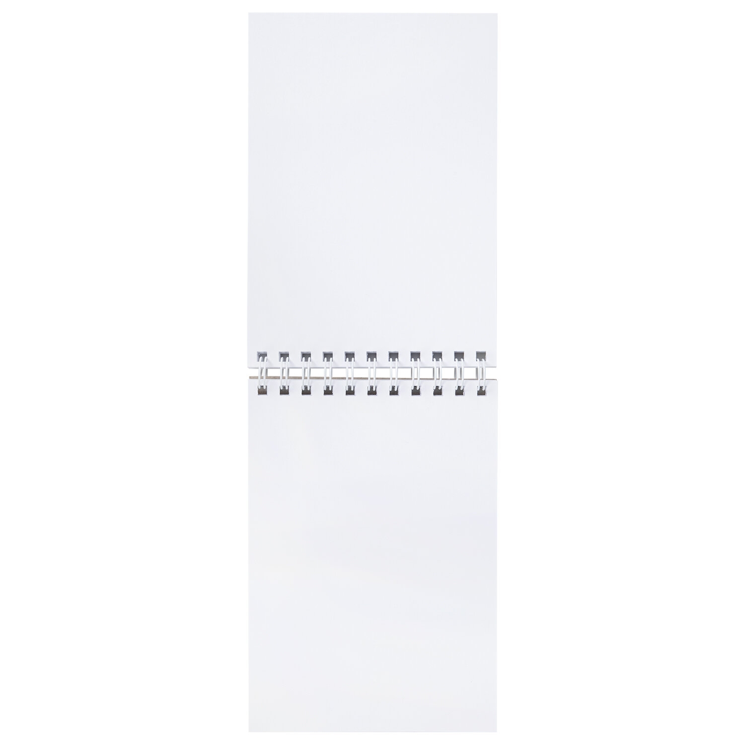 картинка Скетчбук, А5, 50 л, 160 г/м2, спираль, "Тигр", BRAUBERG ART, 115076 от магазина Альфанит в Кунгуре