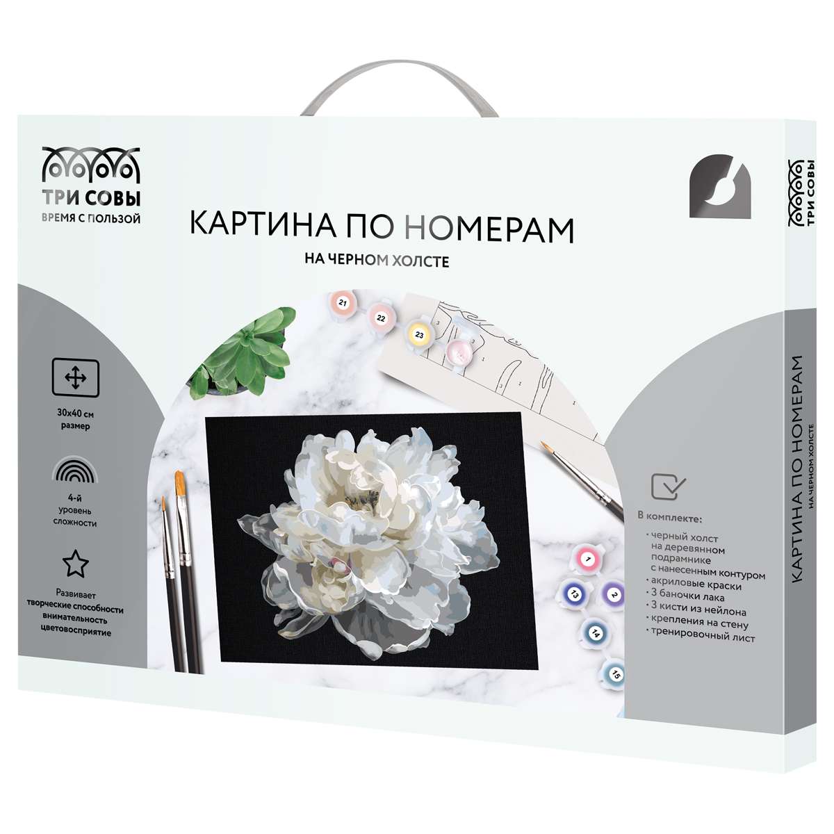 картинка Картина по номерам, 30*40 см, на черном холсте, "Белый цветок", Три совы, КХп_48147 от магазина Альфанит в Кунгуре