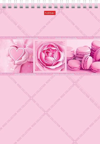 картинка Блокнот, А5, 96 л, клетка, на спирали, розовый, "Rose", Hatber, 96Б5лВ1гр_26496 от магазина Альфанит в Кунгуре