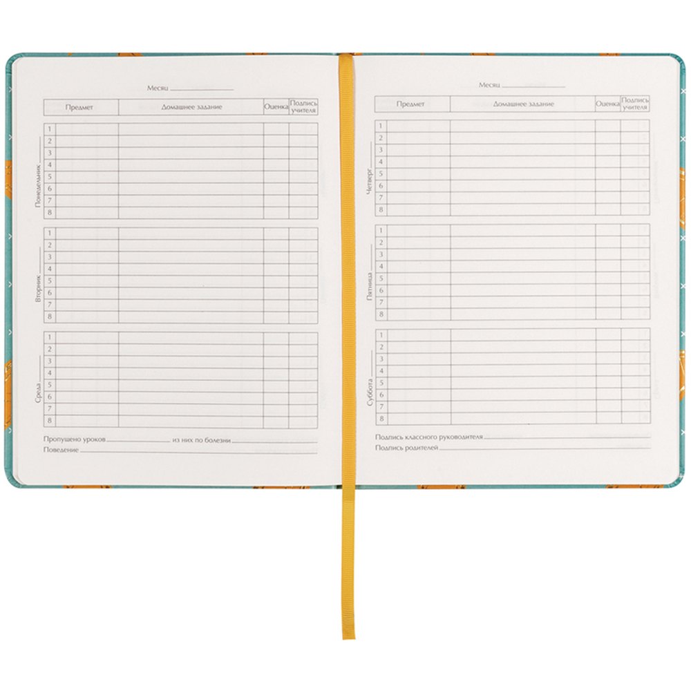 картинка Дневник 1-11 кл, 48 л, кожзам, лайт, ляссе, "Golden orange", BG, Дик5и48_тгф 10465 от магазина Альфанит в Кунгуре