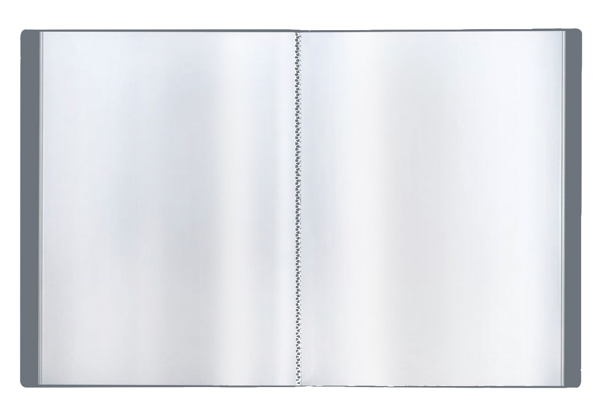 картинка Папка 10 файлов, А4, 500 мкм, корешок 9 мм, пластик, серый, СТАММ, ММ-30659 от магазина Альфанит в Кунгуре