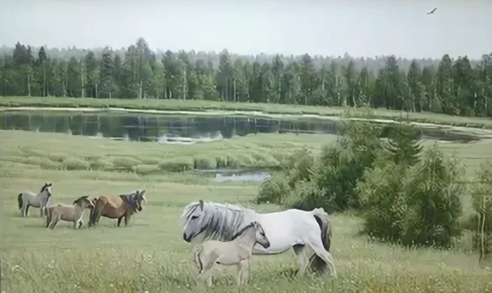 картинка Алмазная картина, 40*50 см, на подрамнике, полная выкладка, ZFA72643 от магазина Альфанит в Кунгуре