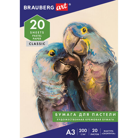 картинка Папка для пастели, А3, 20 л, 200 г/м2, "Скорлупа", BRAUBERG, 126304 от магазина Альфанит в Кунгуре
