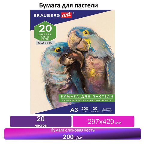 картинка Папка для пастели, А3, 20 л, 200 г/м2, "Скорлупа", BRAUBERG, 126304 от магазина Альфанит в Кунгуре