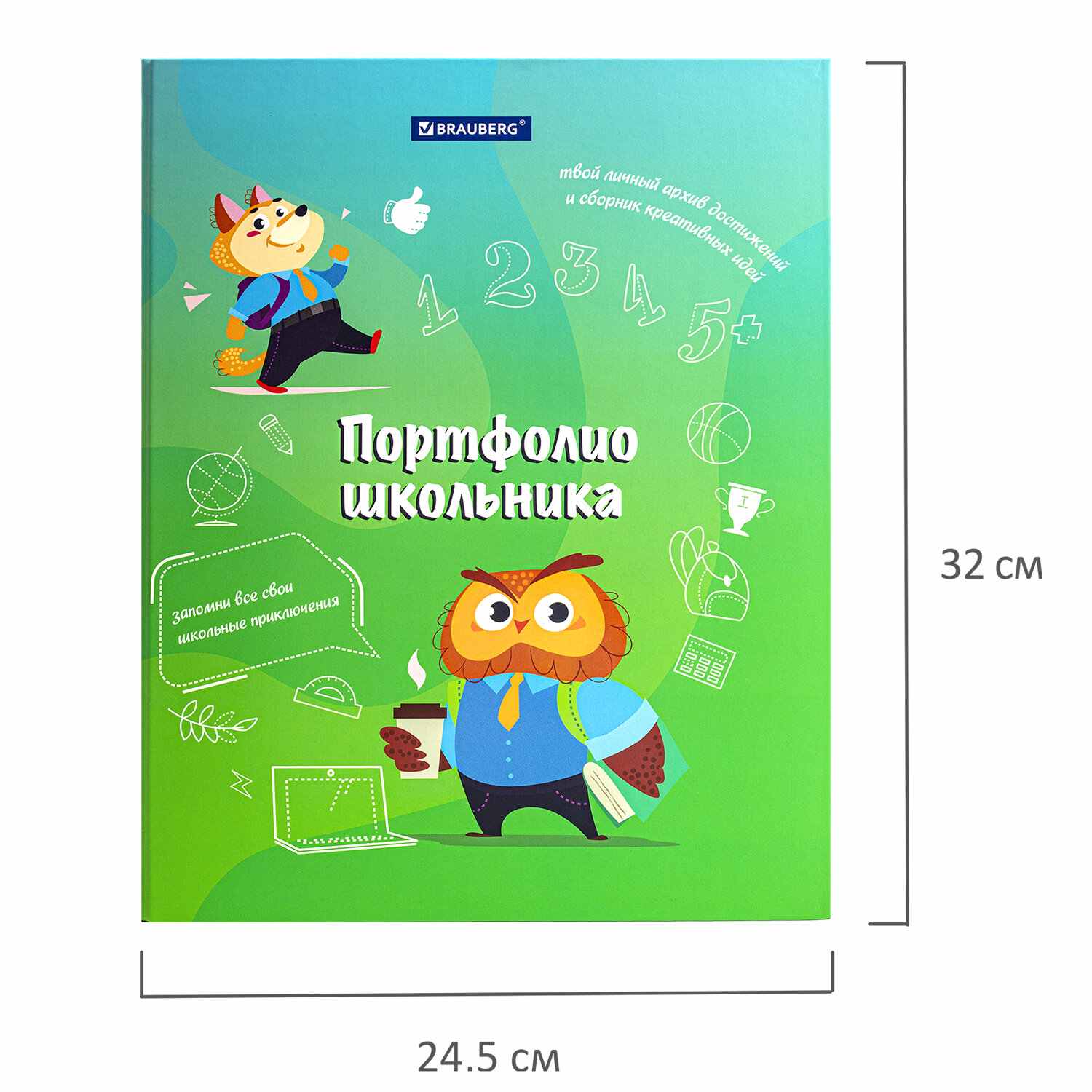 картинка Портфолио школьника, 20 файлов, 10 вкладышей, "Отличник", BRAUBERG, 115240 от магазина Альфанит в Кунгуре
