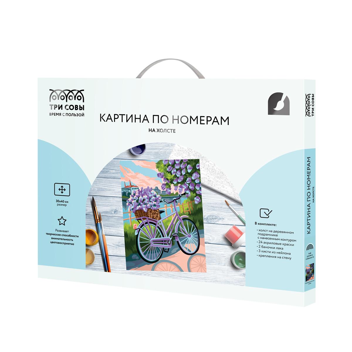 картинка Картина по номерам, 30*40 см, на подрамнике, "Сиреневое настроение", Три совы, КХ3040_53886 от магазина Альфанит в Кунгуре