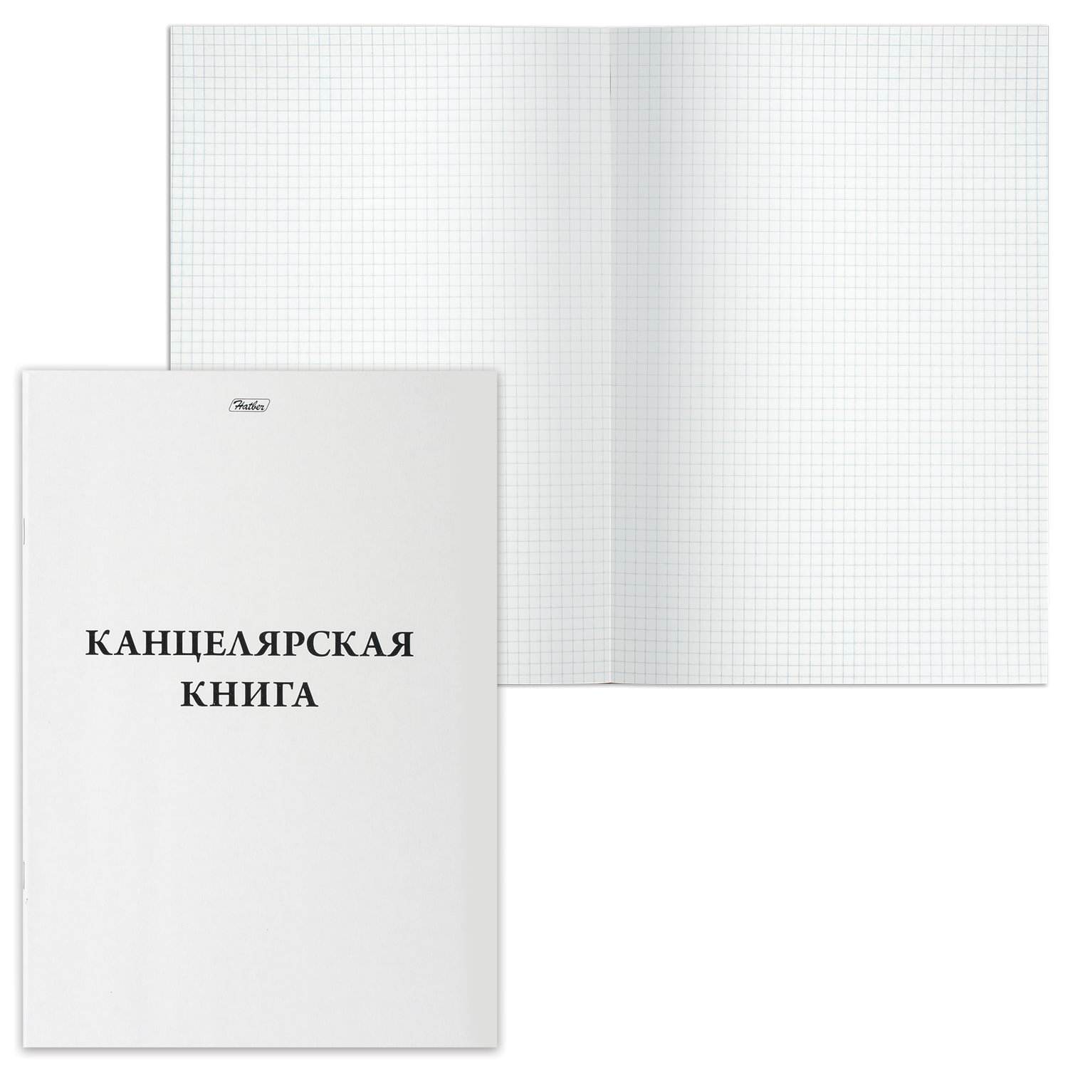 картинка Книга учета, А4, 48 л, клетка, офсет, Hatber, 48Т4В3_03963 от магазина Альфанит в Кунгуре