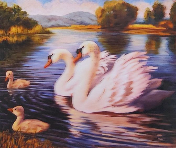 картинка Картина по номерам, 40*50 см, на подрамнике, "Лебеди", 31481 от магазина Альфанит в Кунгуре