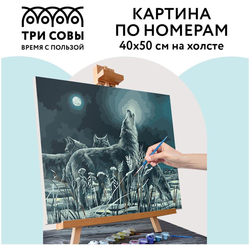 картинка Картина по номерам, 40*50 см, на холсте, с акриловыми красками, "Ночная охота", Три совы, КХ_44164 от магазина Альфанит в Кунгуре