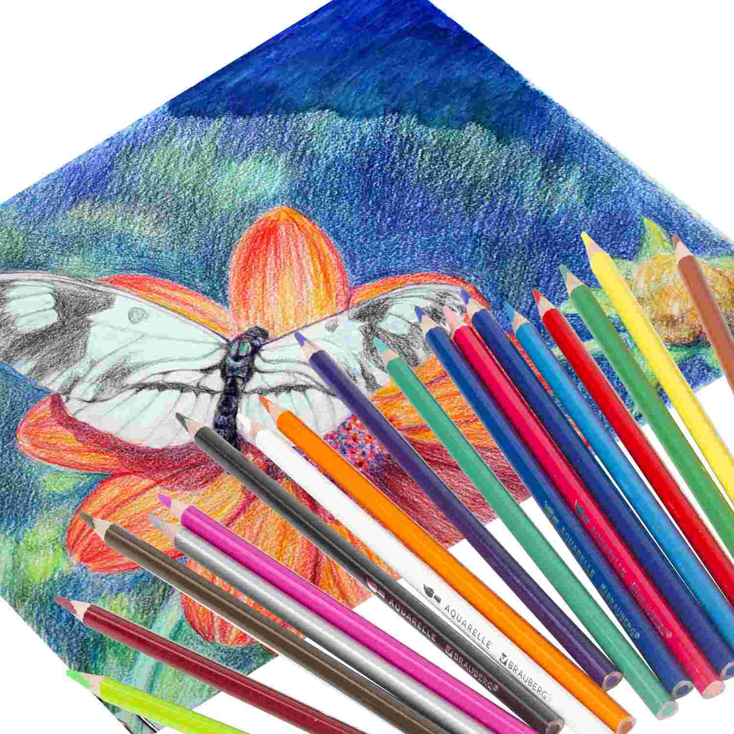 картинка Карандаши цветные акварельные, 18 цв, 18 шт, дерево, "Premium Aquarelle", BRAUBERG, 181672 от магазина Альфанит в Кунгуре