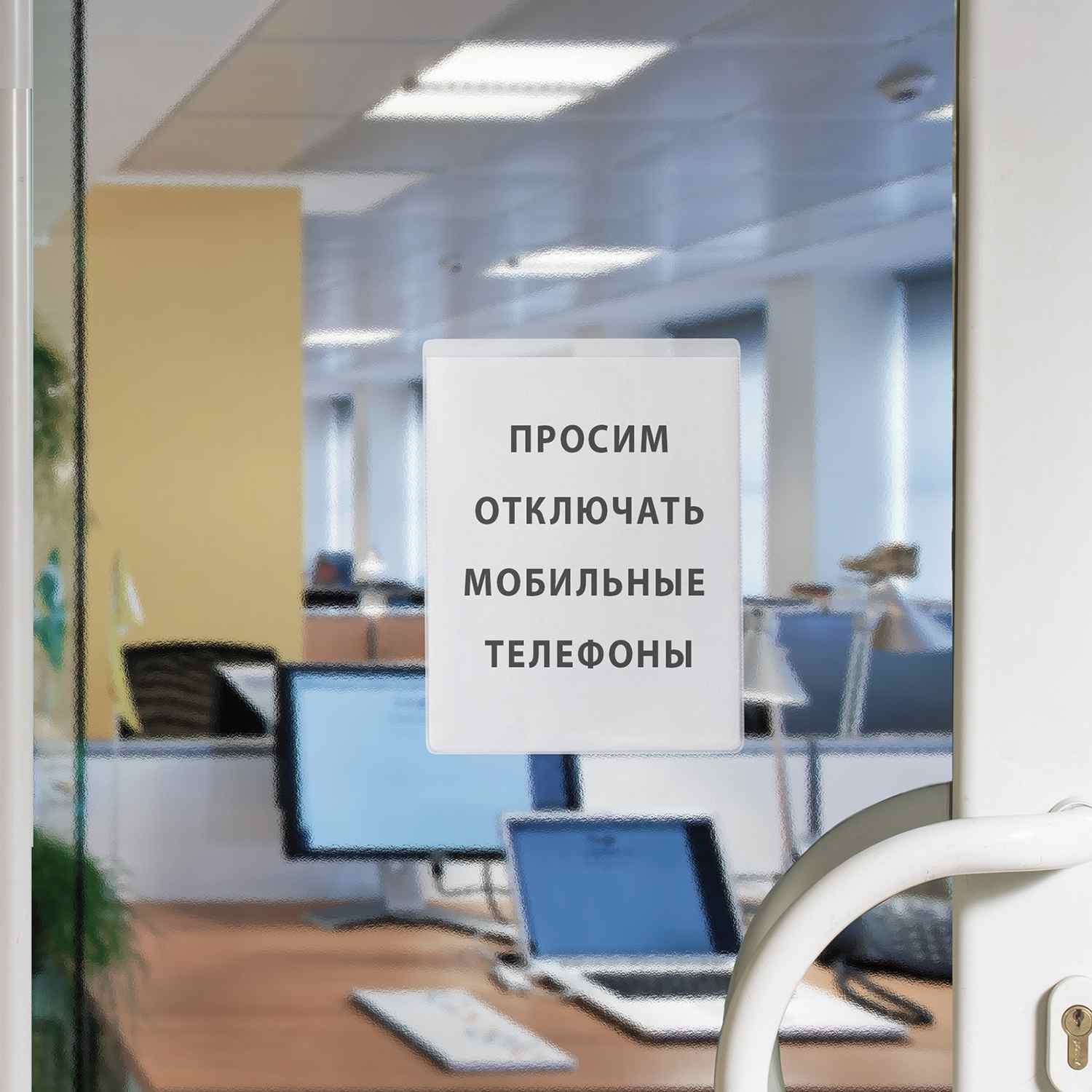 картинка Файлы-карманы самоклеящиеся, 10 шт, А5, ПВХ, прозрачный матовый, ДПС, 1125.С/10, 225405 от магазина Альфанит в Кунгуре