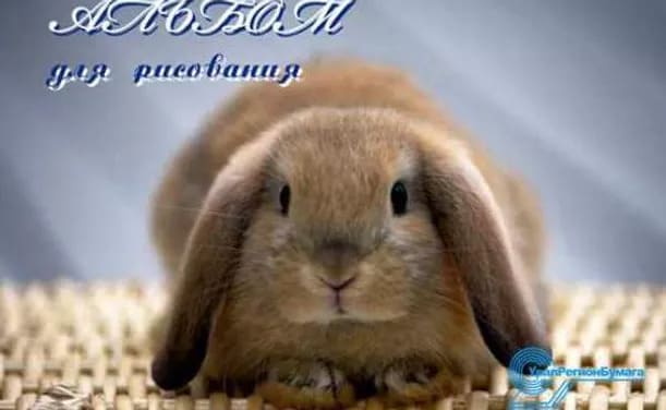 картинка Альбом для рисования, А4, 24 л, 180-200 г/м2, на завязках, ассорти, "Экзотические животные", УРБ, С16ЭА от магазина Альфанит в Кунгуре