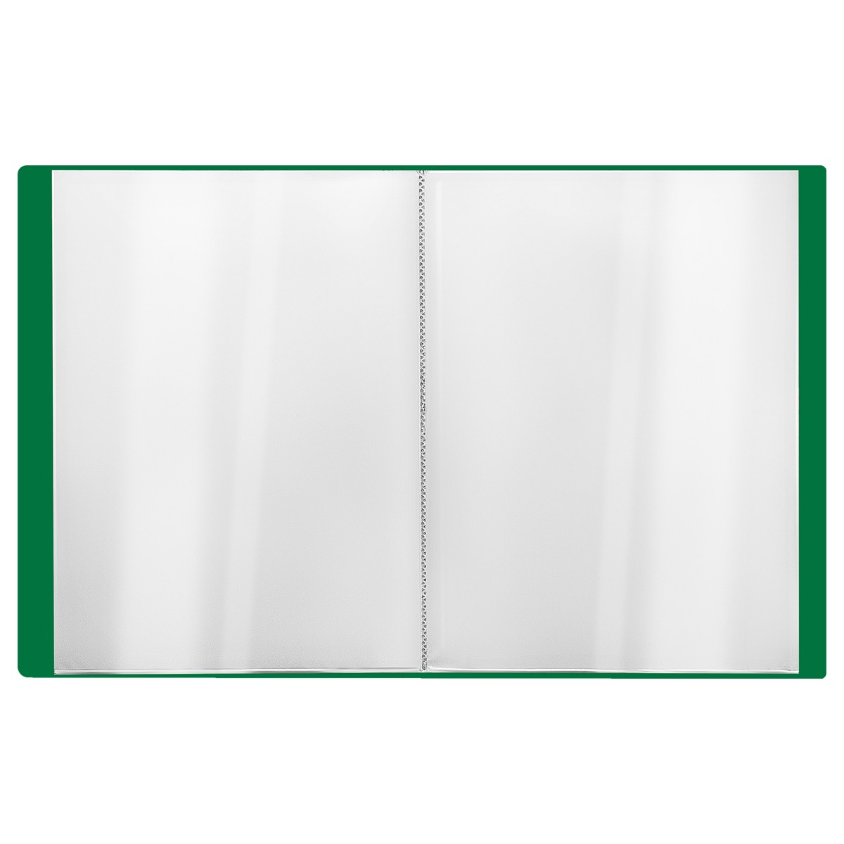 картинка Папка 20 файлов, А4, 600 мкм, корешок 14 мм, пластик, зеленый, "Стандарт", СТАММ, ММ-30610 от магазина Альфанит в Кунгуре