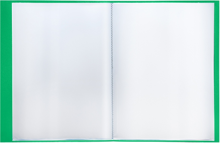 картинка Папка 80 файлов, А4, 30 мм, 800 мкм, зеленый, "Standard", Berlingo, MT2445 от магазина Альфанит в Кунгуре