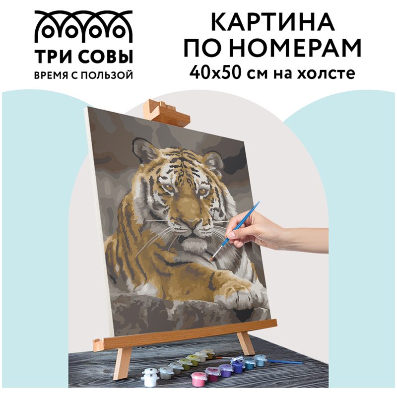 картинка Картина по номерам, 40*50 см, на холсте, "Тигриная стать", Три совы, КХ_44159 от магазина Альфанит в Кунгуре