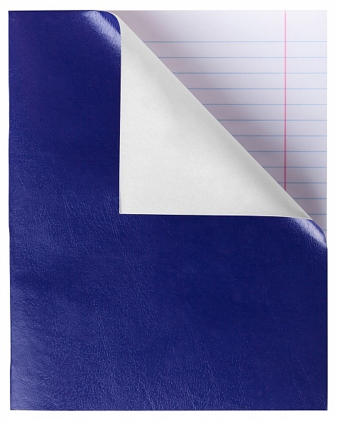 картинка Тетрадь 48 л, А5, линия, бумвинил, "Синяя", Hatber, 48Т5бвВ2 от магазина Альфанит в Кунгуре