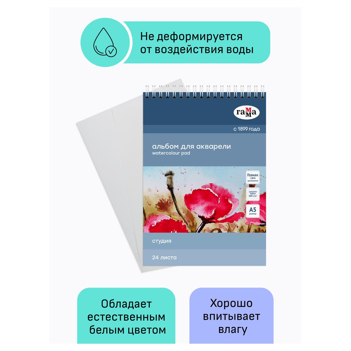 картинка Альбом для акварели, А5, 24 л, 200 г/м2, спираль, среднее зерно, белый, "Студия", Гамма, 50C01S724W от магазина Альфанит в Кунгуре