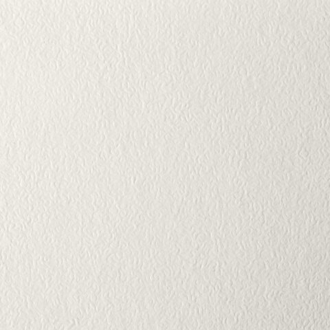 картинка Папка для пастели, А3, 20 л, 200 г/м2, "Скорлупа", BRAUBERG, 126304 от магазина Альфанит в Кунгуре