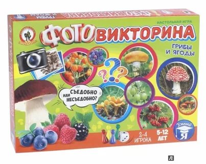 картинка Фотовикторина, "Грибы и ягоды", Русский стиль, 03435 от магазина Альфанит в Кунгуре