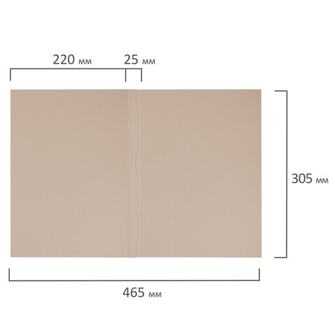 картинка Папка-обложка без скоросшивателя, А4, 440 г/м2, до 200 л, картон, белый, "Дело", BRAUBERG, 110929 от магазина Альфанит в Кунгуре
