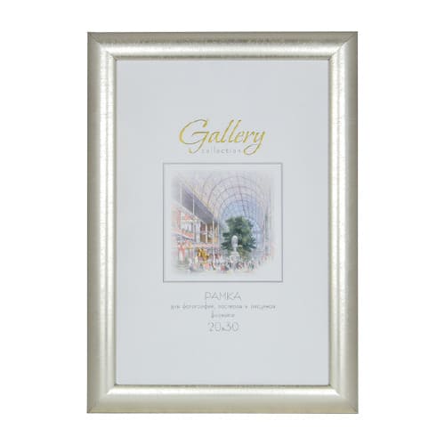 картинка Фоторамка 20*30 см, платина, "Gallery", 647221-8 от магазина Альфанит в Кунгуре