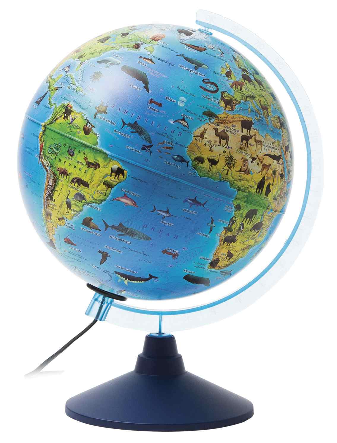картинка Глобус зоогеографический, 25 см, с подсветкой, на подставке, детский, "Классик Евро", Globen, Ке012500270 от магазина Альфанит в Кунгуре