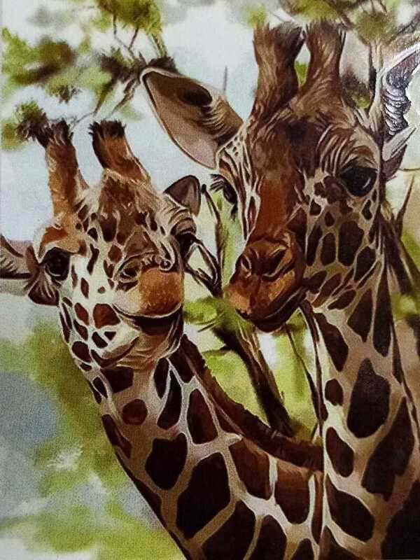 картинка Картина по номерам, 20*30 см, на холсте, "Жирафы", GL385 от магазина Альфанит в Кунгуре