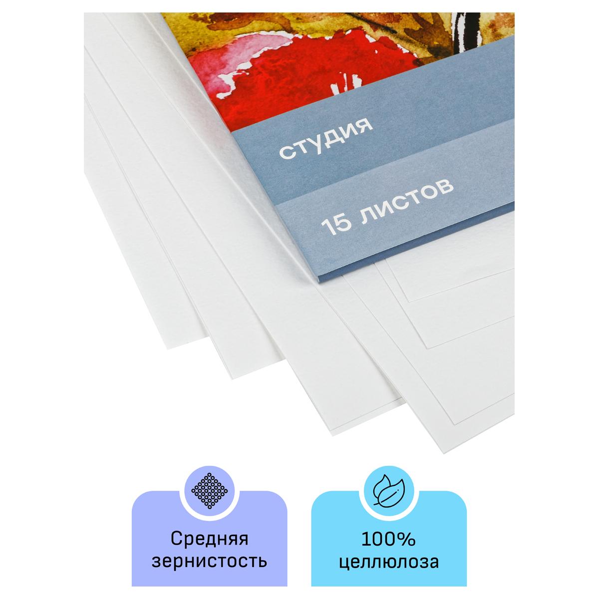 картинка Папка для акварели, А3, 15 л, 200 г/м2, среднее зерно, "Студия", Гамма, 30C03F715W от магазина Альфанит в Кунгуре
