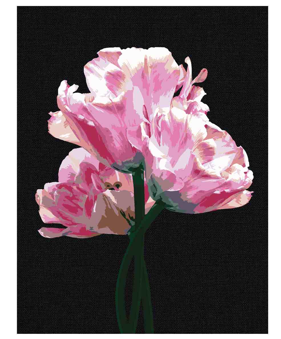 картинка Картина по номерам, 30*40 см, на черном холсте, "Розовые цветы", Три совы, КХп_48141 от магазина Альфанит в Кунгуре