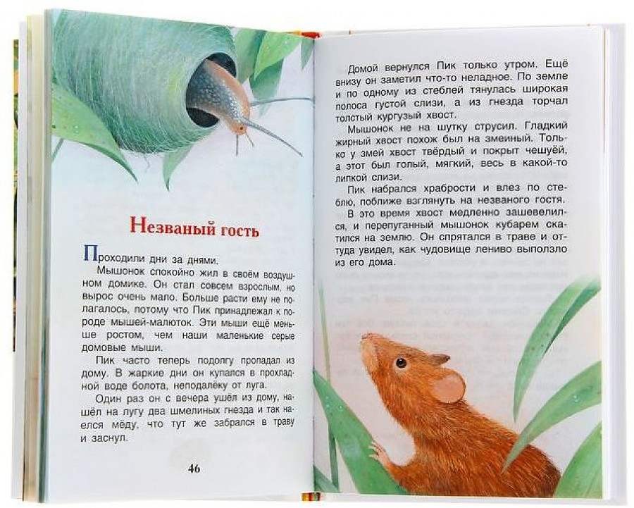 картинка Книга, А5, 48 л, твердый переплет, Бианки В.В., "Внеклассное чтение. Рассказы и сказки о животных", Росмэн, 74175 от магазина Альфанит в Кунгуре