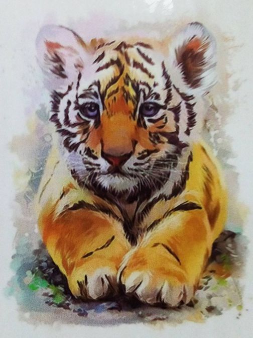 картинка Картина по номерам, 20*30 см, на подрамнике, "Тигр", GL309 от магазина Альфанит в Кунгуре