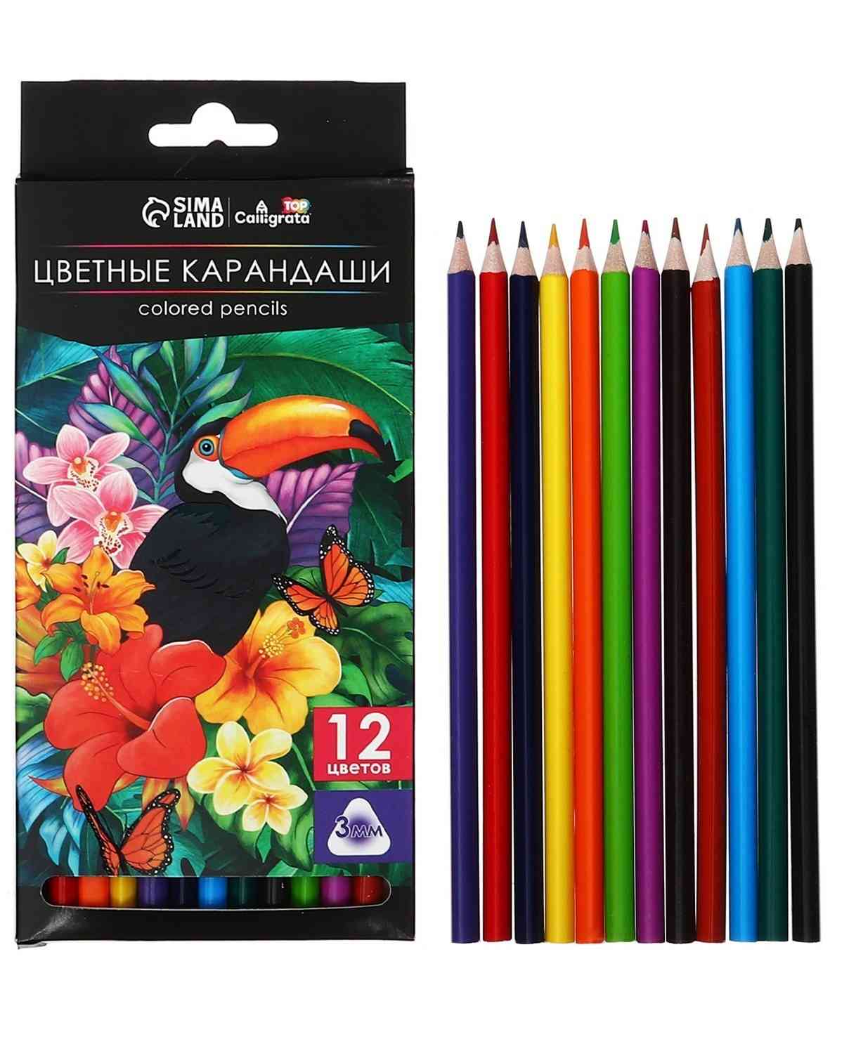 картинка Карандаши цветные, 12 цв, пластик, трехгранный корпус, Calligrata, 9904957 от магазина Альфанит в Кунгуре