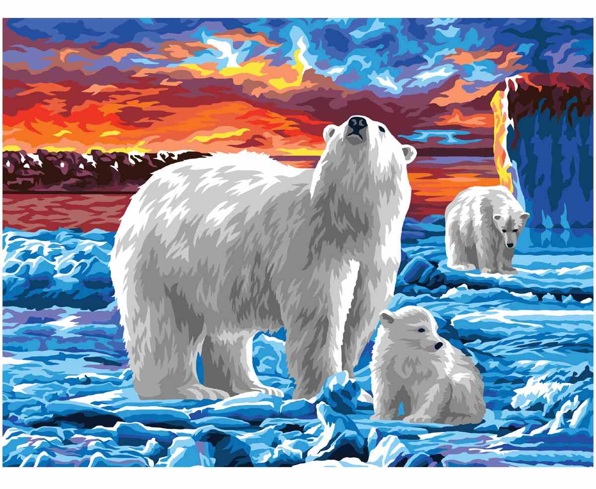 картинка Картина по номерам, 40*50 см, на подрамнике, "Белые медведи", Три совы, КХ4050_53899 от магазина Альфанит в Кунгуре