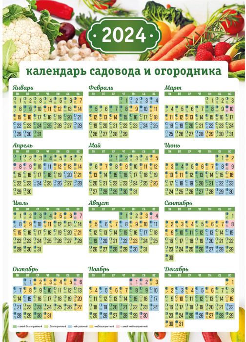 картинка Календарь листовой 2024 год, А1, "Садовода и огородника", Квадра, 8170 от магазина Альфанит в Кунгуре