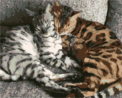 картинка Картина по номерам 40*50см, "Бенгальские коты", HS1119 от магазина Альфанит в Кунгуре