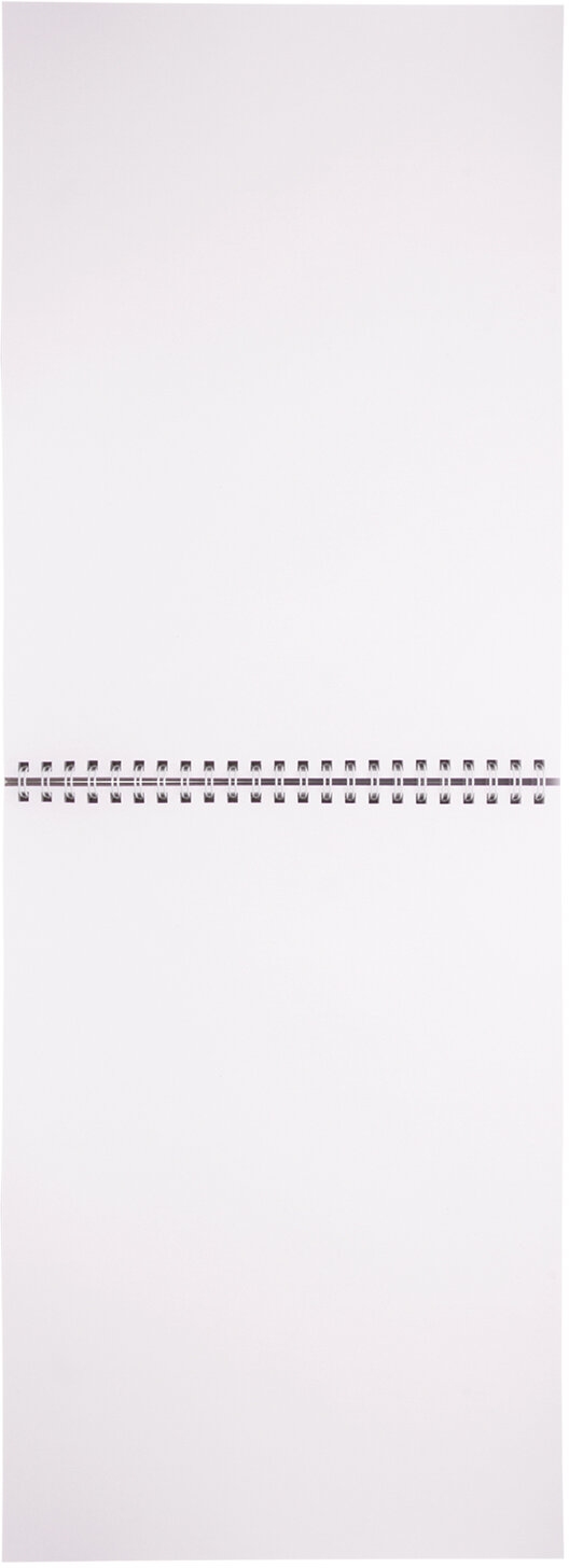 картинка Скетчбук, А4, 40 л, 120 г/м2, спираль, BRAUBERG, 110984 от магазина Альфанит в Кунгуре
