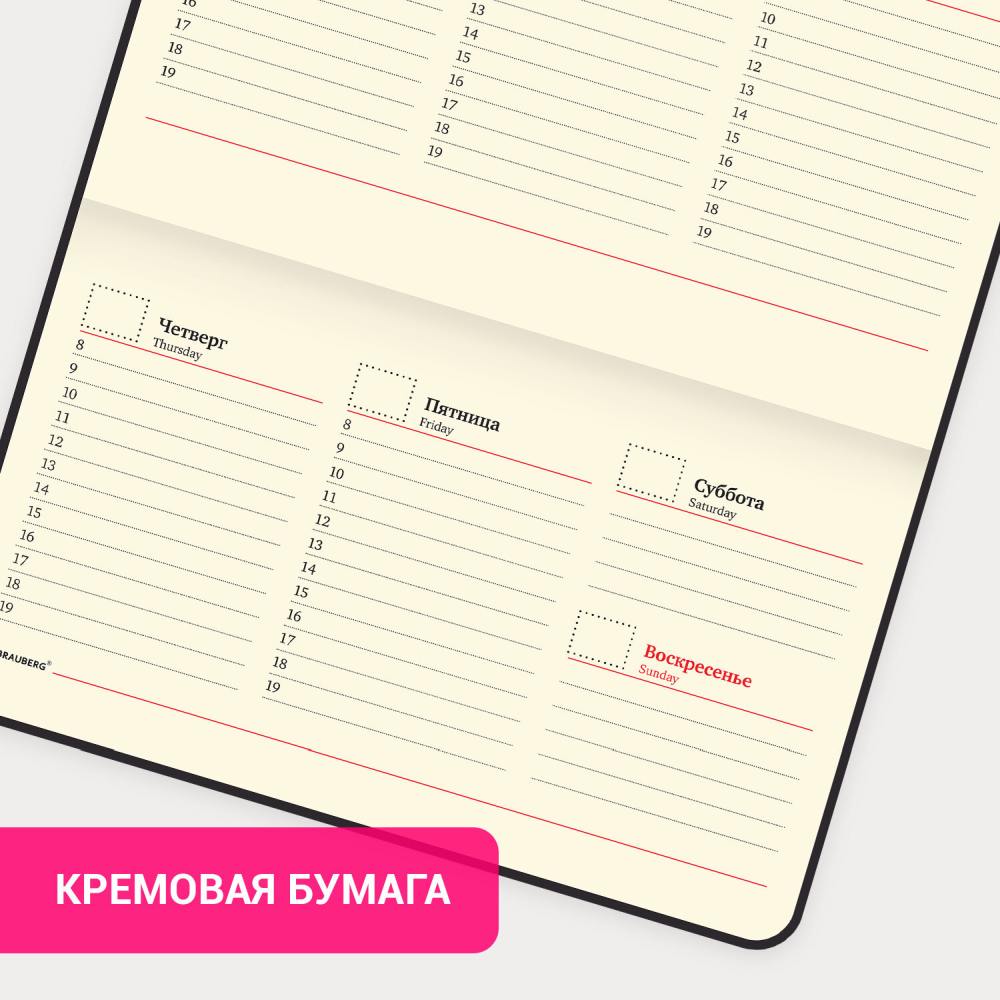 картинка Еженедельник недатированный, А6, 64 л, коричневый, под кожу, "Alligator", BRAUBERG, 126183 от магазина Альфанит в Кунгуре