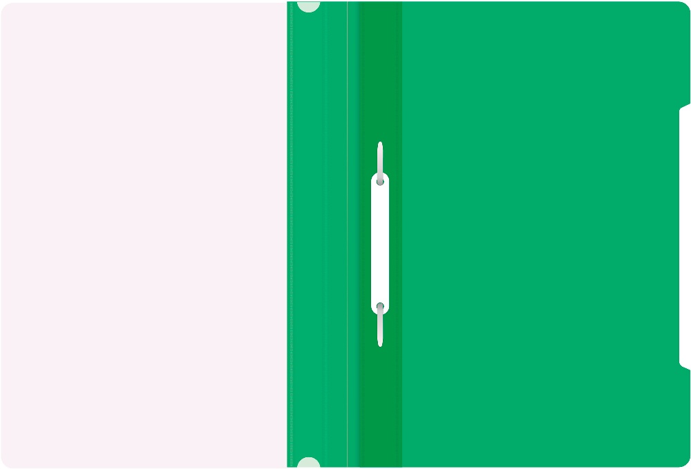 картинка Папка-скоросшиватель с прозрачным верхом, А4, 120 мкм, пластик, зеленый, "Economy", Бюрократ, PSE20GRN/998169 от магазина Альфанит в Кунгуре