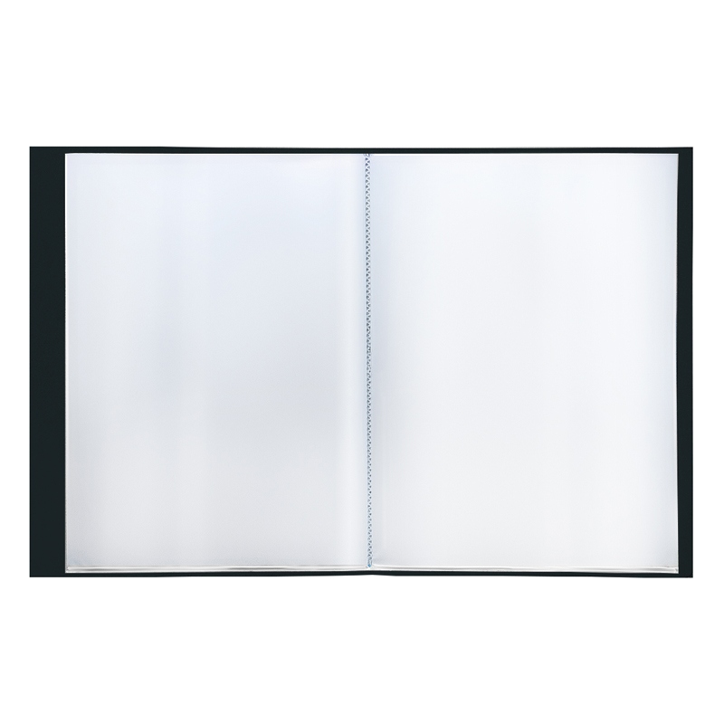 картинка Папка 40 файлов, А4, 21 мм, 600 мкм, черный, "Standard", Berlingo, MT2439 от магазина Альфанит в Кунгуре
