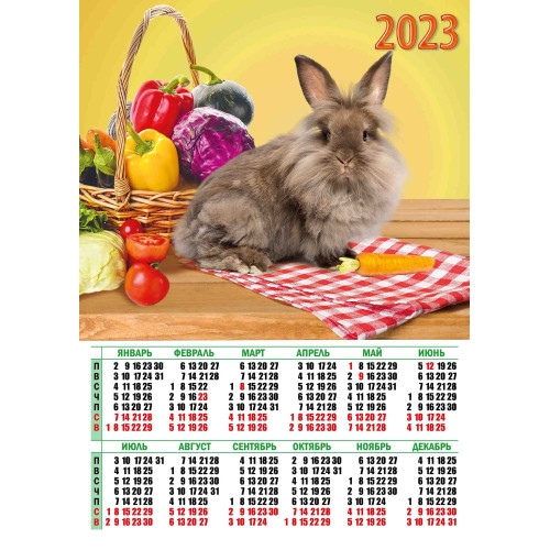 картинка Календарь листовой 2023 год, А2, "Символ года", Квадра, 7550 от магазина Альфанит в Кунгуре