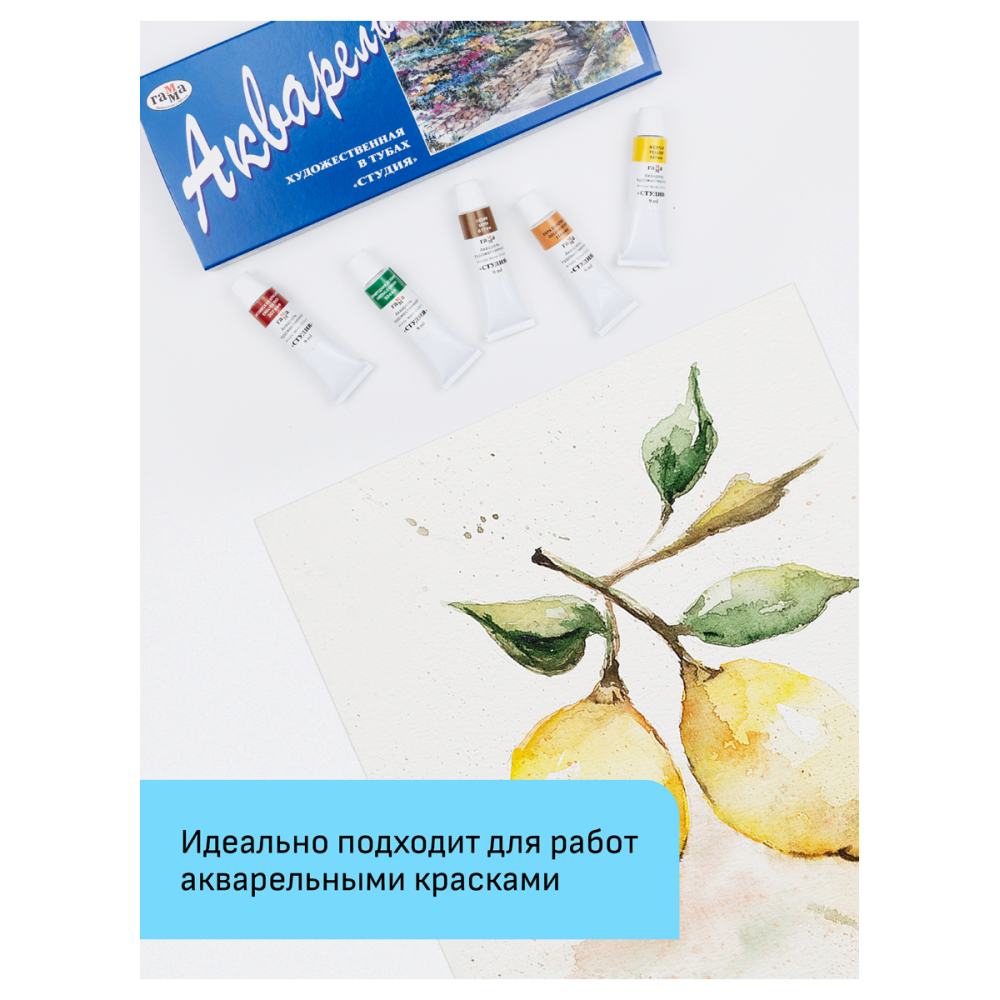 картинка Папка для акварели, А4, 10 л, 200 г/м2, среднее зерно, "Студия", Гамма, 40C03F710W от магазина Альфанит в Кунгуре