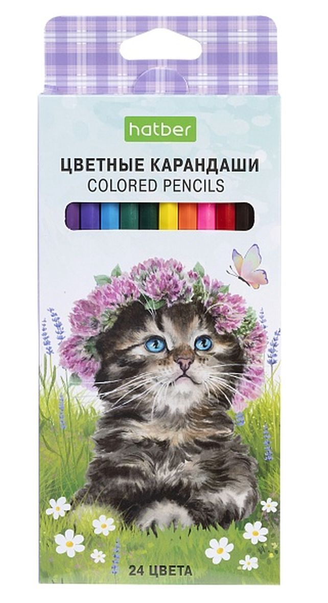картинка Карандаши цветные, 24 цв, 24 шт, "Котики бывают разными", Hatber, CS_084401 от магазина Альфанит в Кунгуре